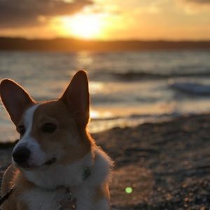 Meet your Posher, Kristian